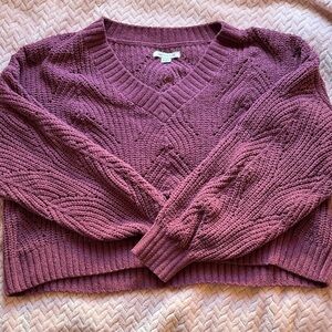American Eagle Outfitters V-Neck Sweater in Plum